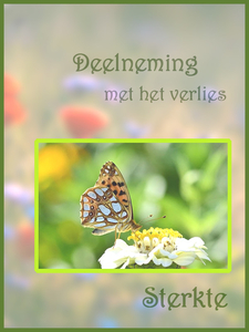 Gecondoleerd