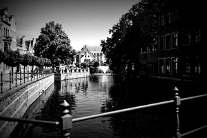 DSC_1174