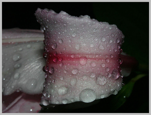 20-07-2007 FOTO 021