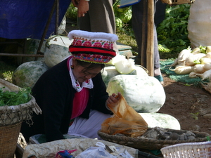 Yunnan, Shaping