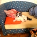 picture00156
