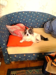 picture00156
