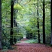 t' Vrijbos- Houthulst-Herfst 10-10-09-