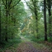 t' Vrijbos- Houthulst-Herfst 10-10-09-