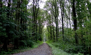 Domein HET VELD-ARDOOIE