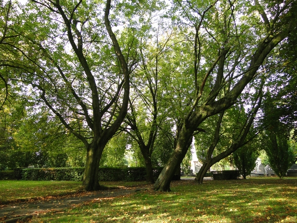 Oud Kerkhof- ROESELARE