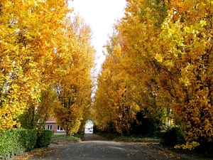 Herfst-2010