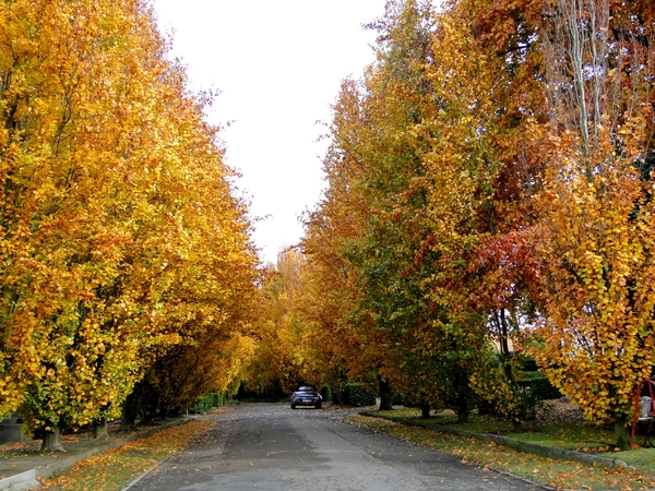 Herfst-2010