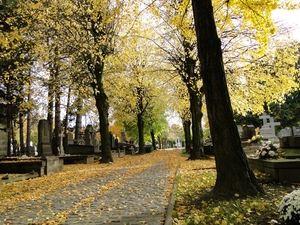 Herfst-2010