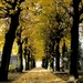 Herfst-2010