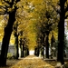 Herfst-2010