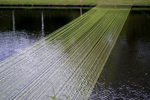 Zomer 2009-Kunst in het Sterrebosdomein-Rumbeke