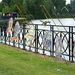 Stadspark-Roeselare-Dag van het park 2009