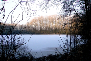 Veld-Ardooie-16