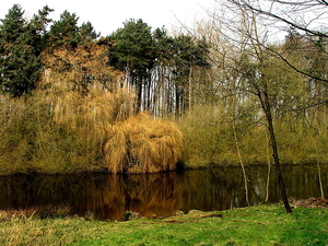 Natuurgebied-De Blankaert-1