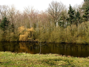 Natuurgebied-De Blankaert-2