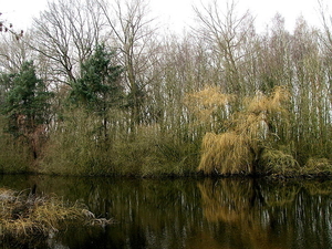 Natuurgebied-De Blankaert-3