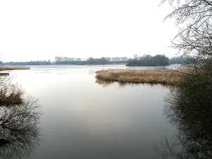 Natuurgebied-De Blankaert-5