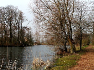 Natuurgebied-De Blankaert-6