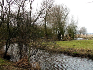 Natuurgebied-De Blankaert-7