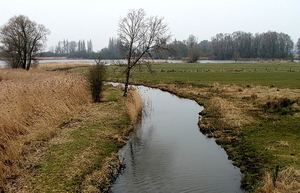 Natuurgebied-De Blankaert-10