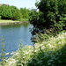Foto-Stadspark-Roeselare
