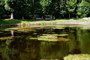 Kikkerpoel-Sterrebosdomein