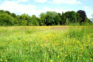 Sterrebosdomein-Rumbeke