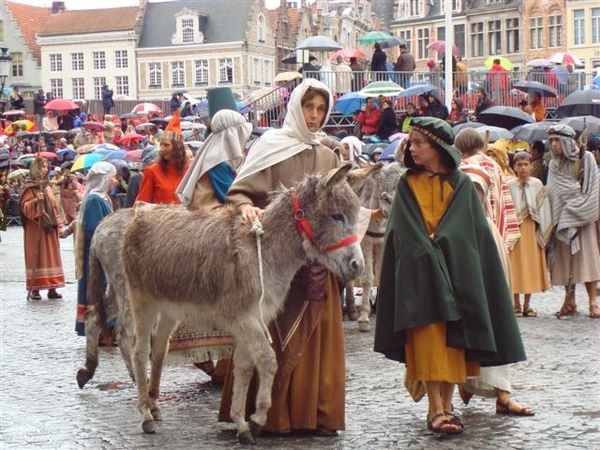 DSC00384 (Small)