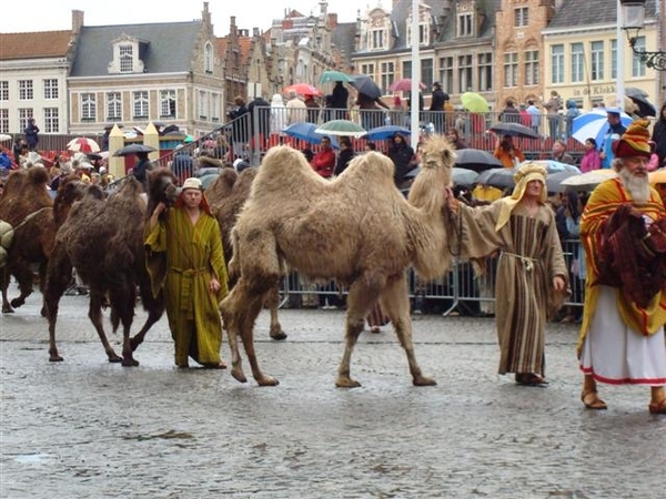 DSC00387 (Small)