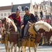 DSC00462 (Small)
