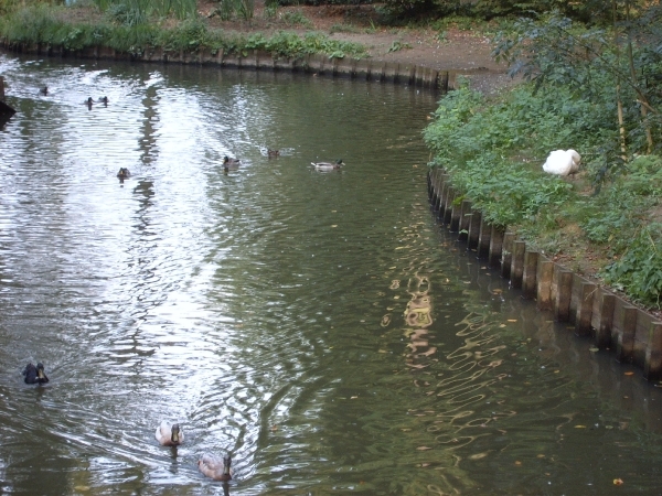 2008-09-21- Ekeren hof de Bist 017