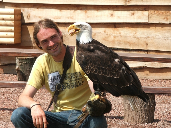 Roofvogels-Aviflora 2006