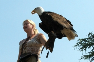 Roofvogels-Aviflora 2006-Zeearend