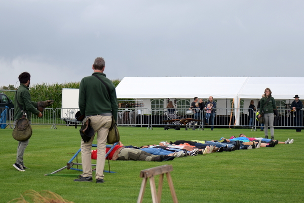 RoofvogelBeurs-Kachtem-Izegem-aug.2019