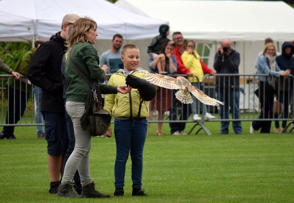 RoofvogelBeurs-Kachtem-Izegem-aug.2019