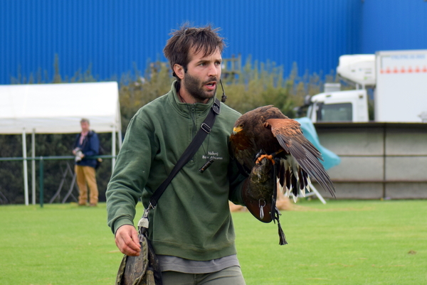 RoofvogelBeurs-Kachtem-Izegem-aug.2019