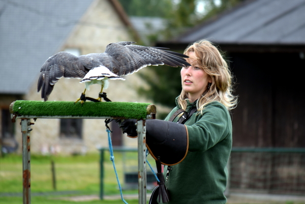 RoofvogelBeurs-Kachtem-Izegem-aug.2019