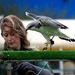 RoofvogelBeurs-Kachtem-Izegem-aug.2019