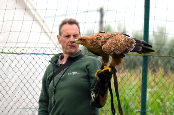 RoofvogelBeurs-Kachtem-Izegem-aug.2019
