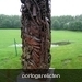 DSCN2835