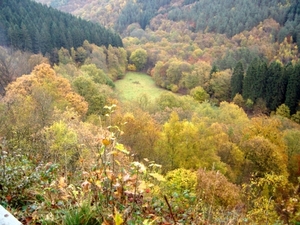 xhoris herftskleuren. 2009