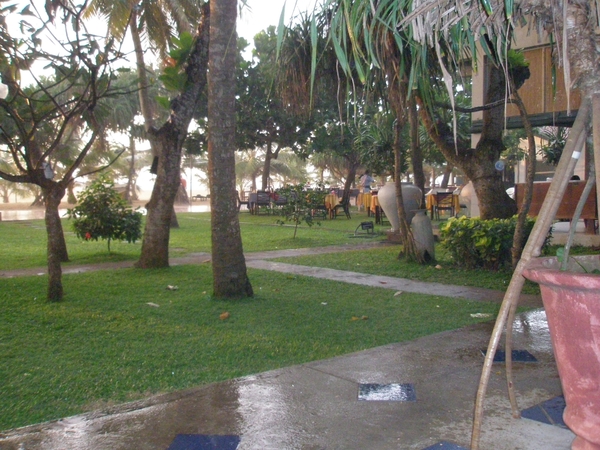 P2030041