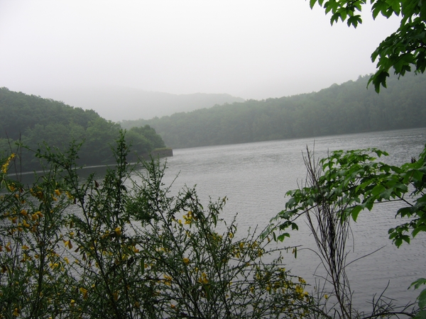 REIS EINRUHR 2008 058