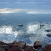 Balaton_on_a_rainy_day