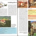080919-naar Dinkelsbühl (102)