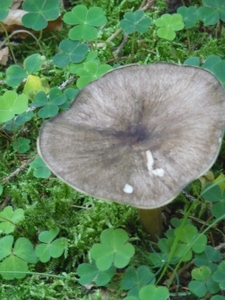 P1000383