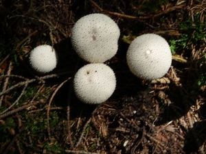 P1000370