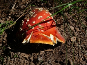 P1000373