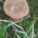P1000351